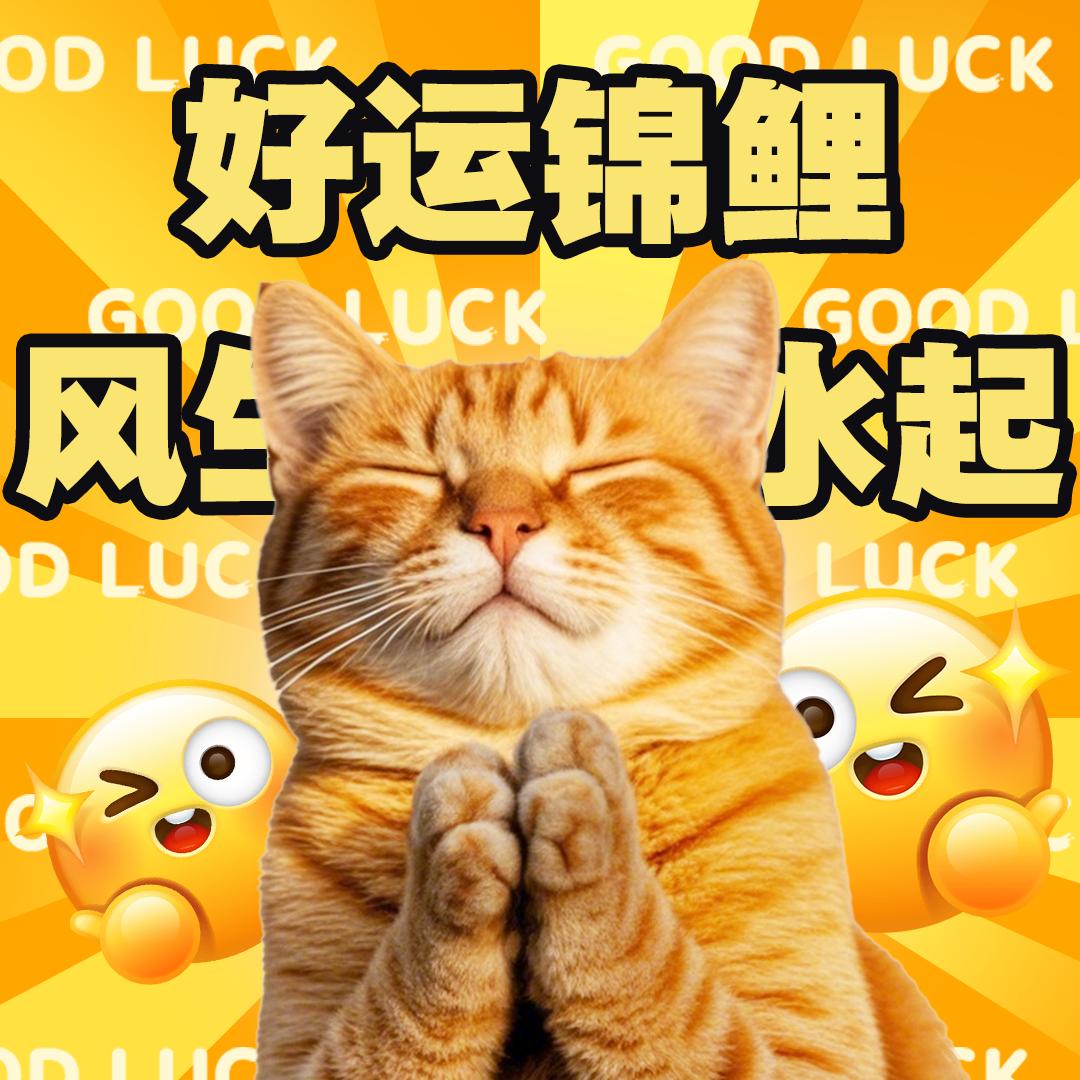 想躺平做米虫的可怜喵