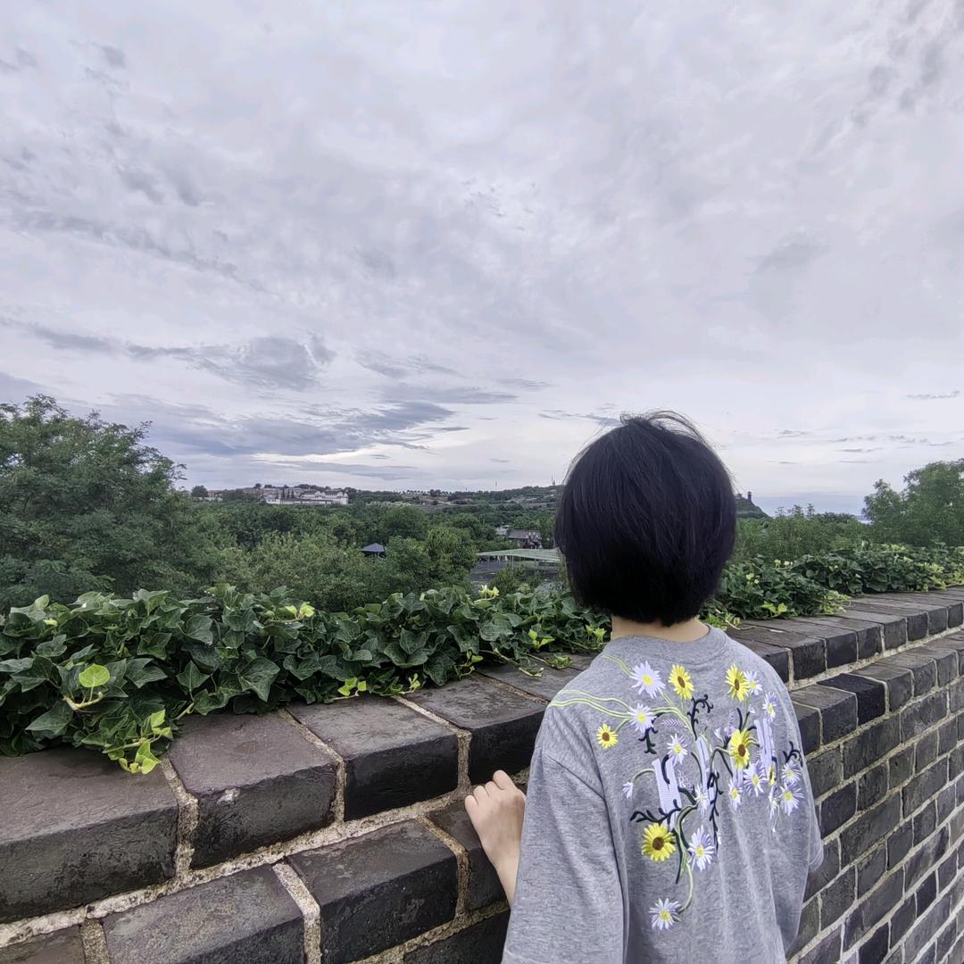 不以物喜，不以己悲