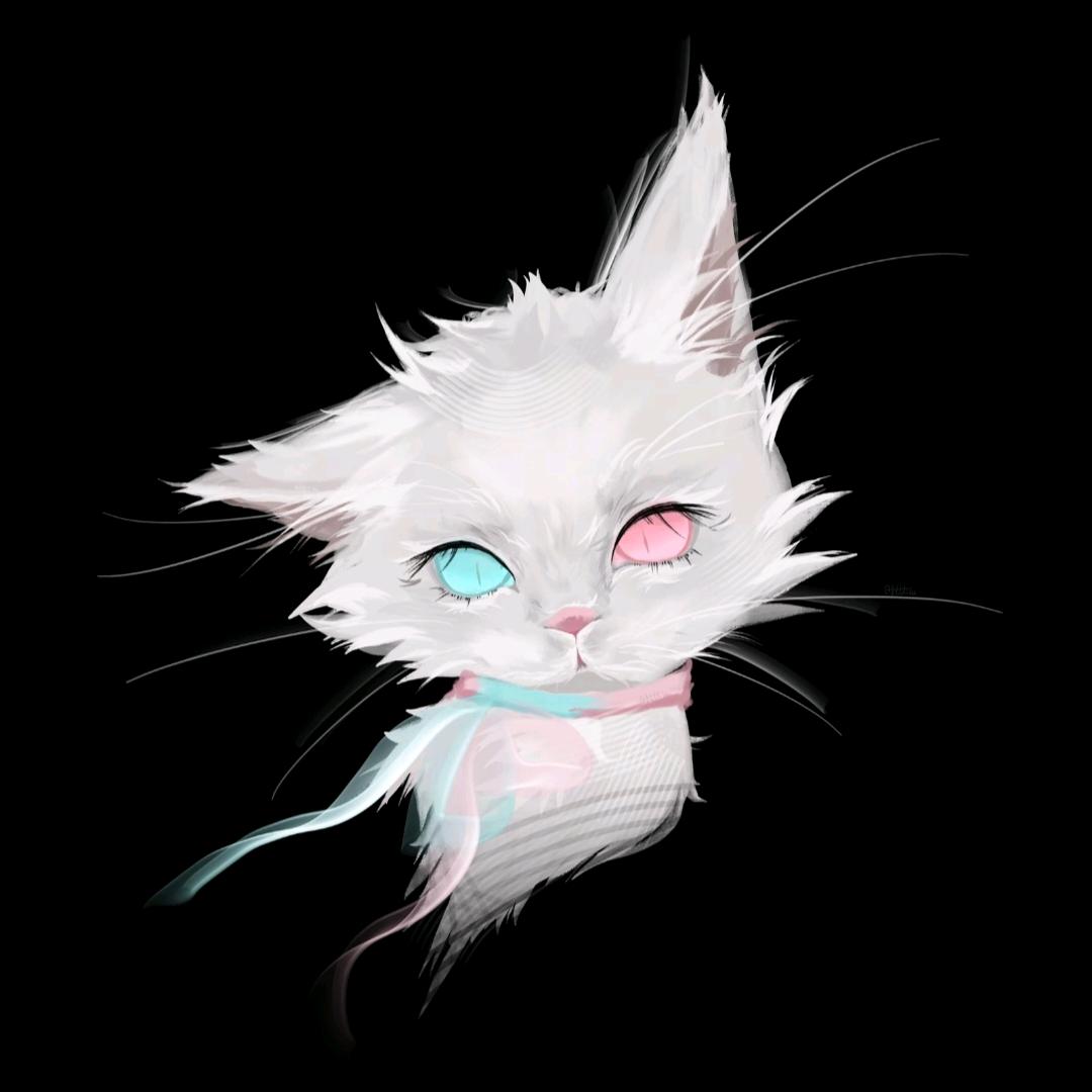 双清(求推荐版)