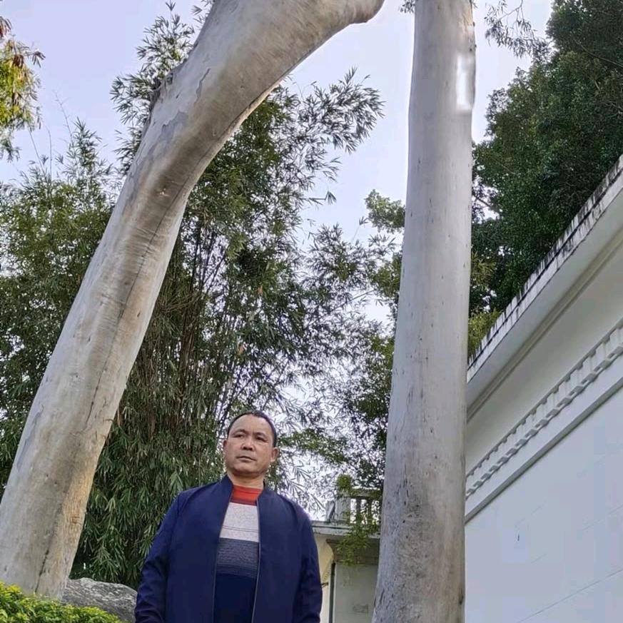 段治斌