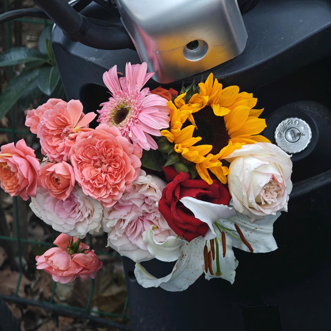 煎饼果子大王🐾