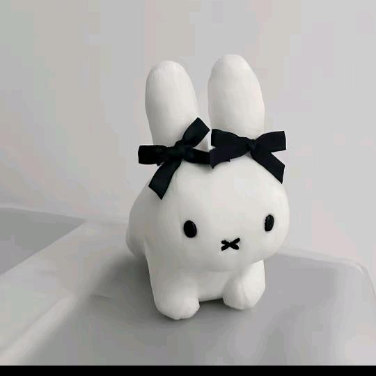 dinaer
