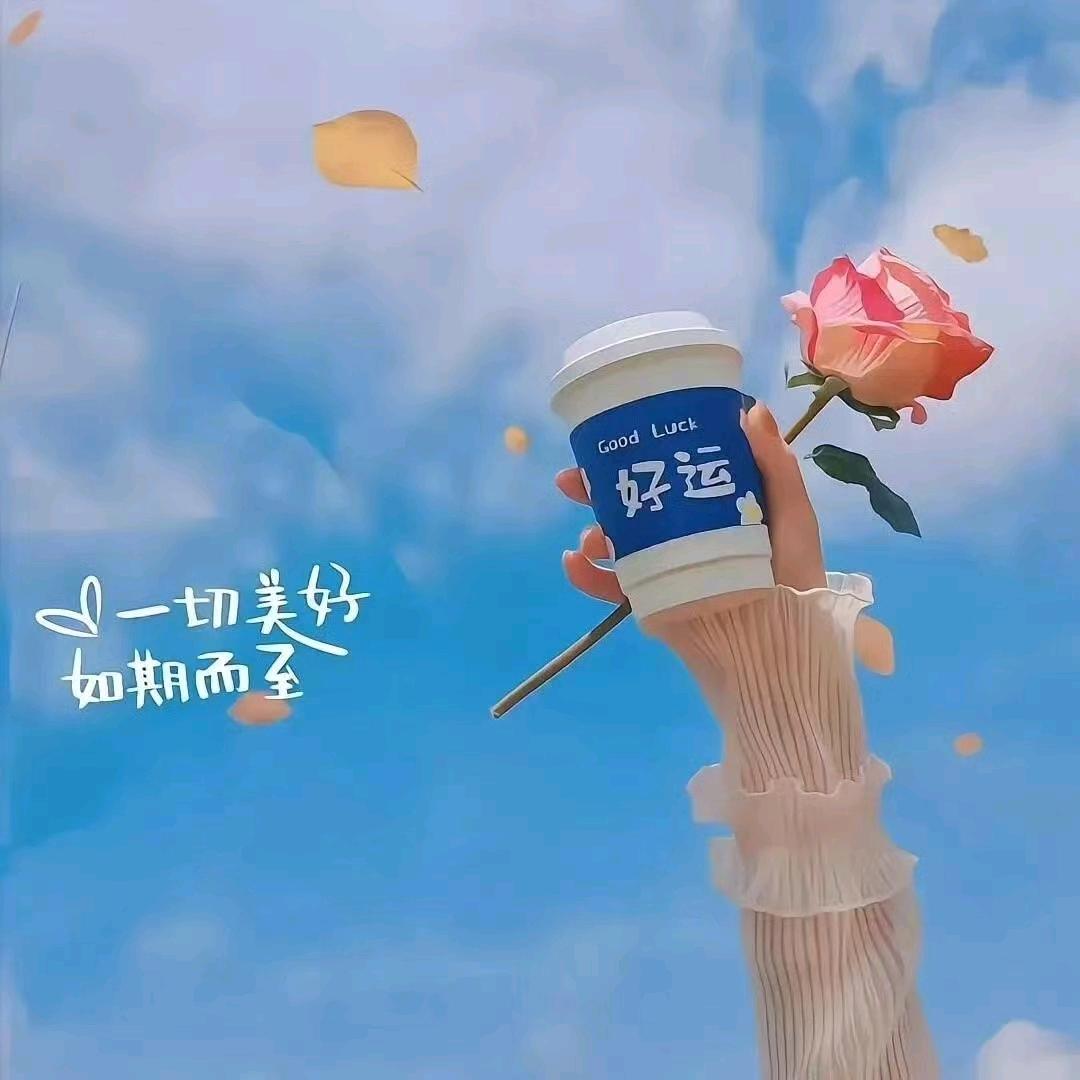 🍀苏禾✨养心🔆