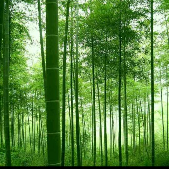 朱哥哥，懂得珍惜