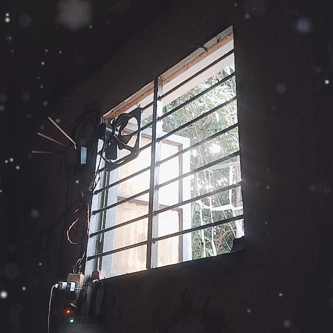 ☂️寂寞de流星💘🌲