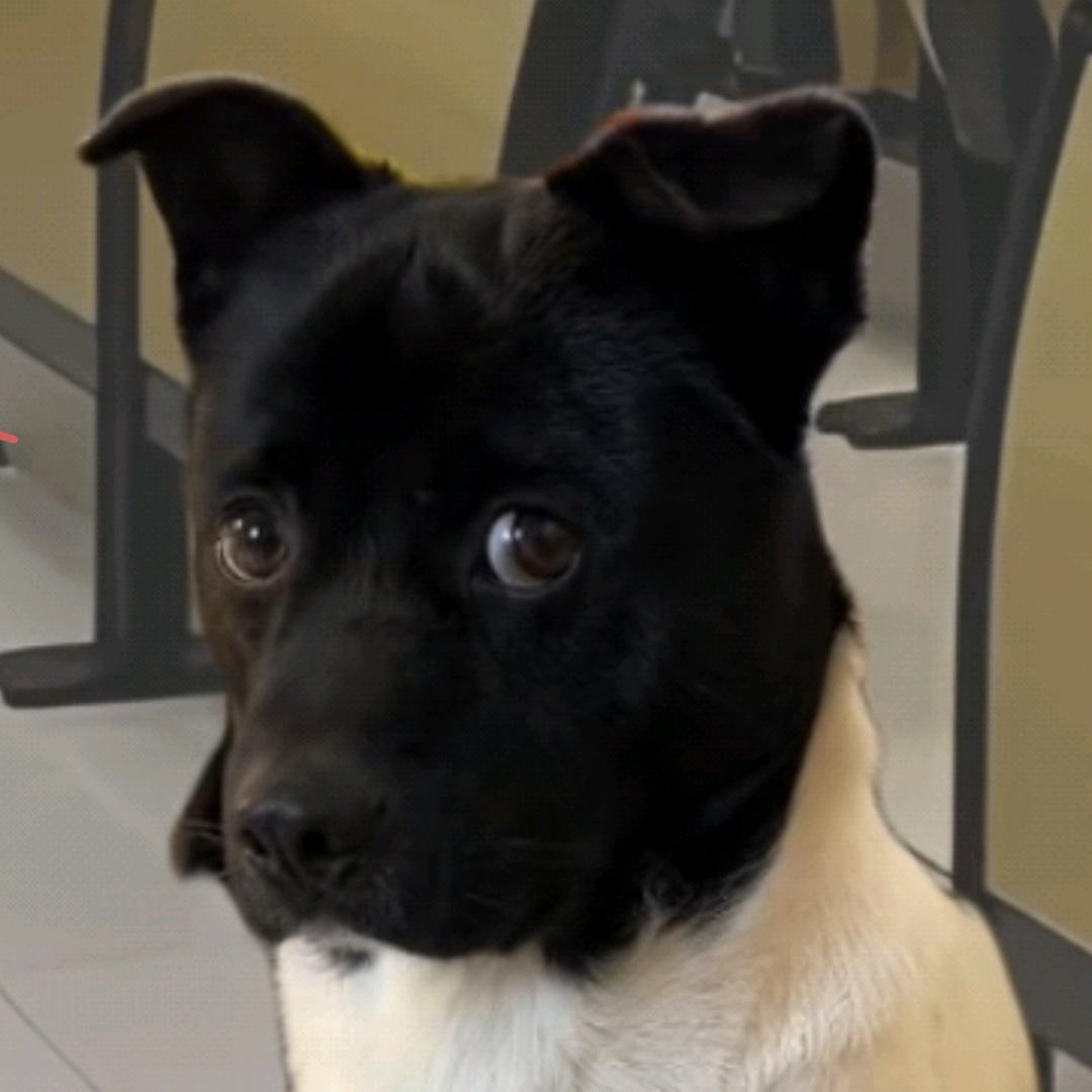 零陵第一守城大将