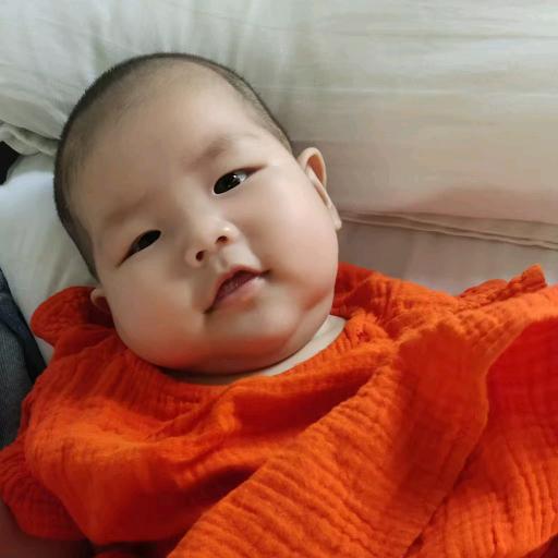 多米（母乳喂养中）