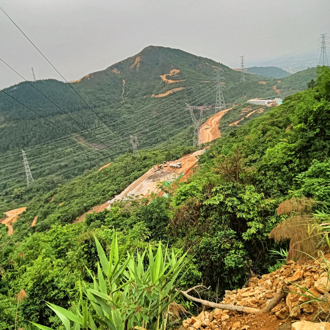 真诚哥
