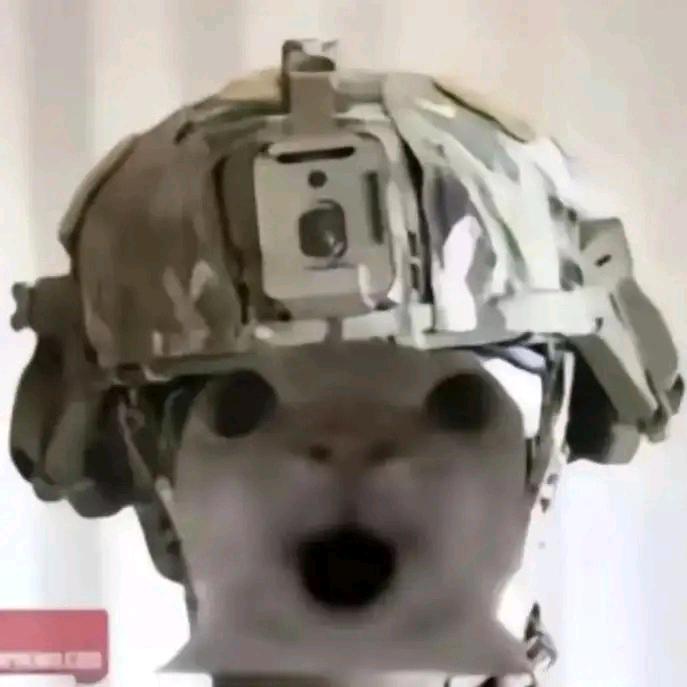 三角洲职业跑手