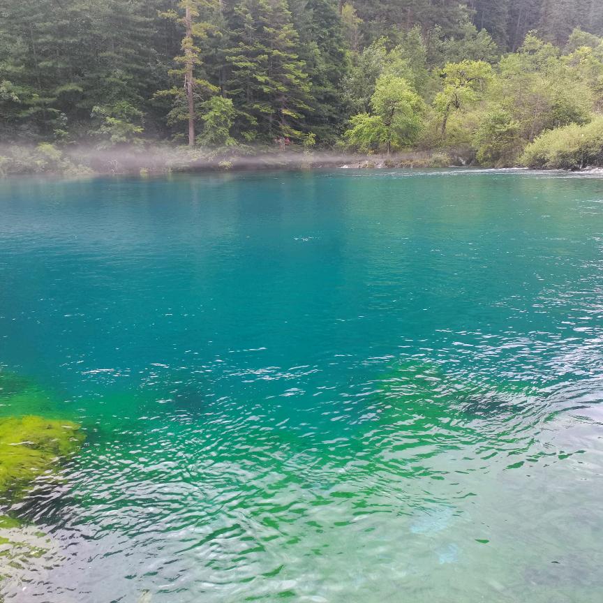 苏宁易购大家居装饰