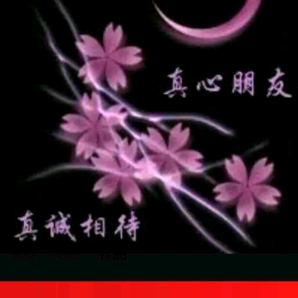 一笑而过🌺🌺