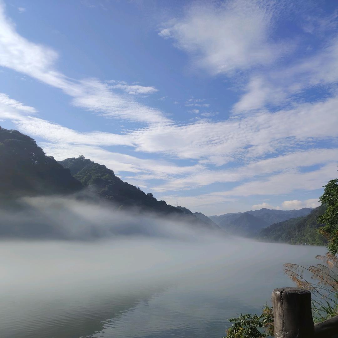 默许余生