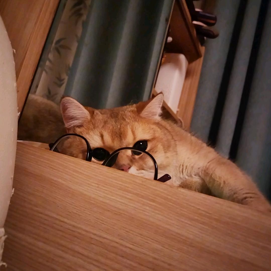 囍胖胖·乡村爆肚面