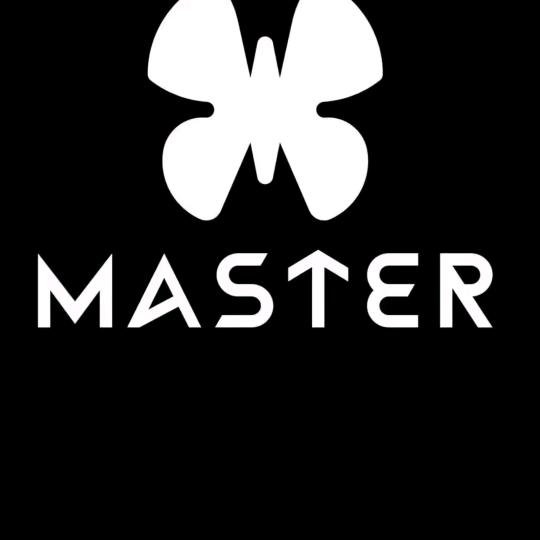 master商务总监全松江可预定