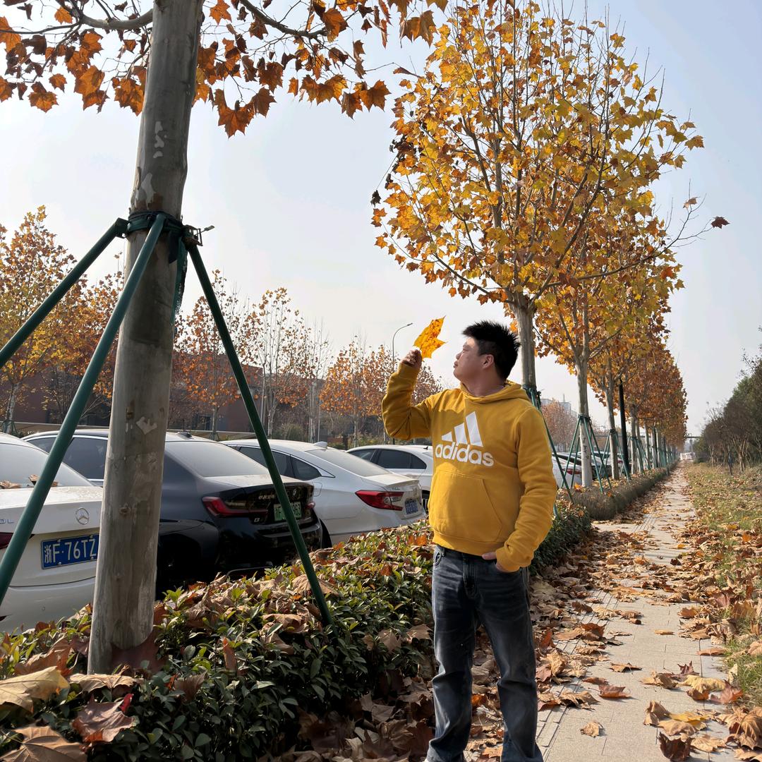 幸福感满满，单身生活习惯