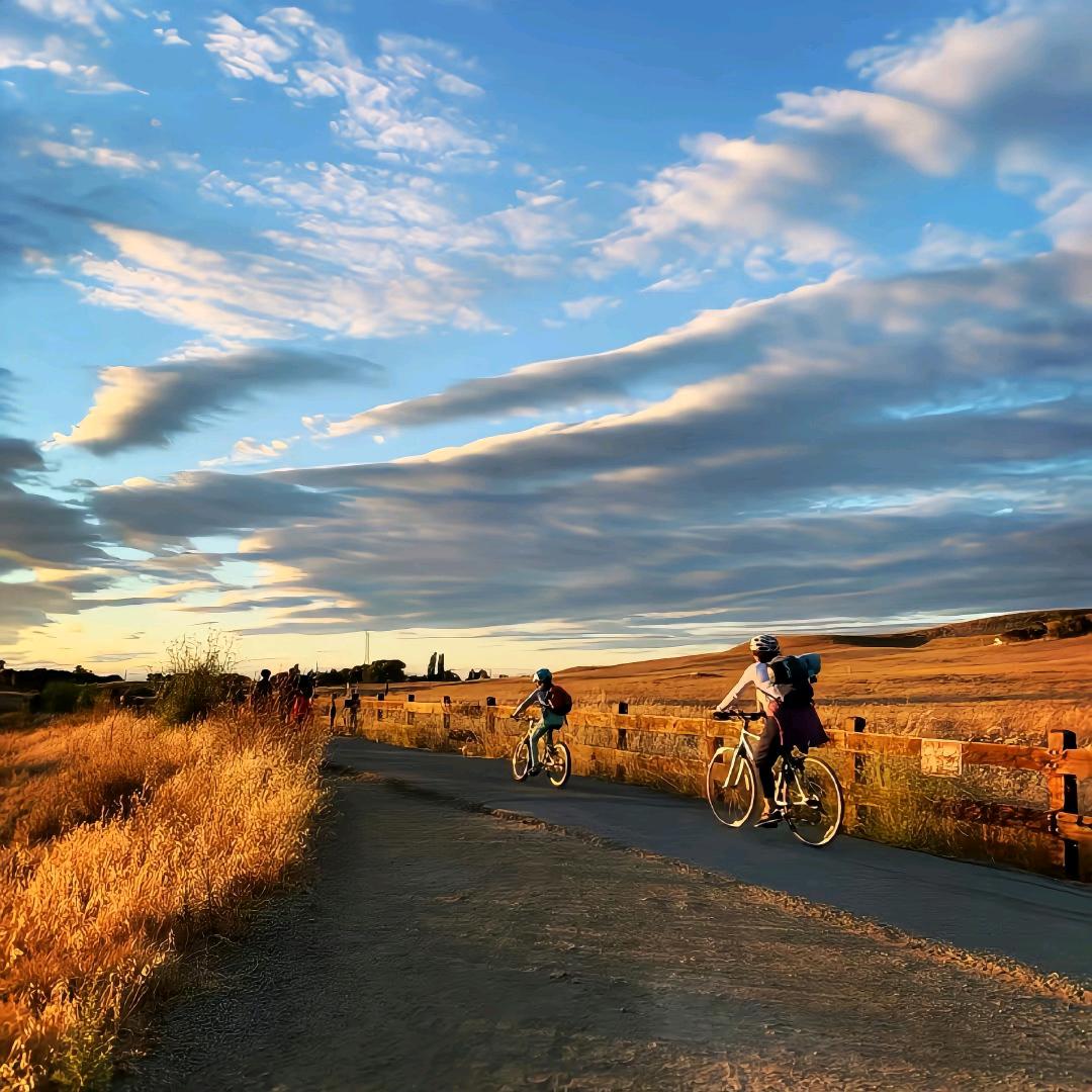 来份豪华版三明治🥪