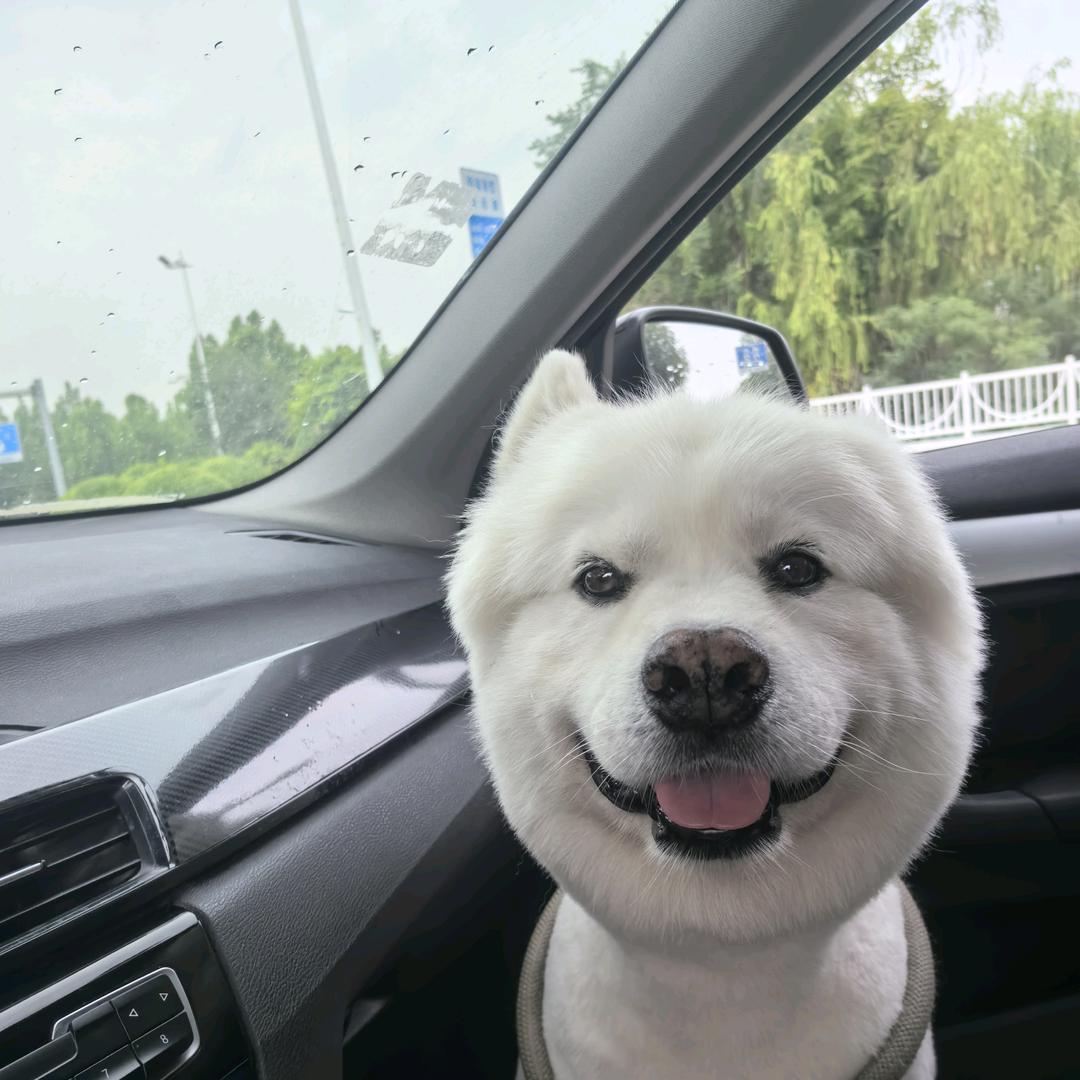 🌻皮蛋瘦肉饭🌻