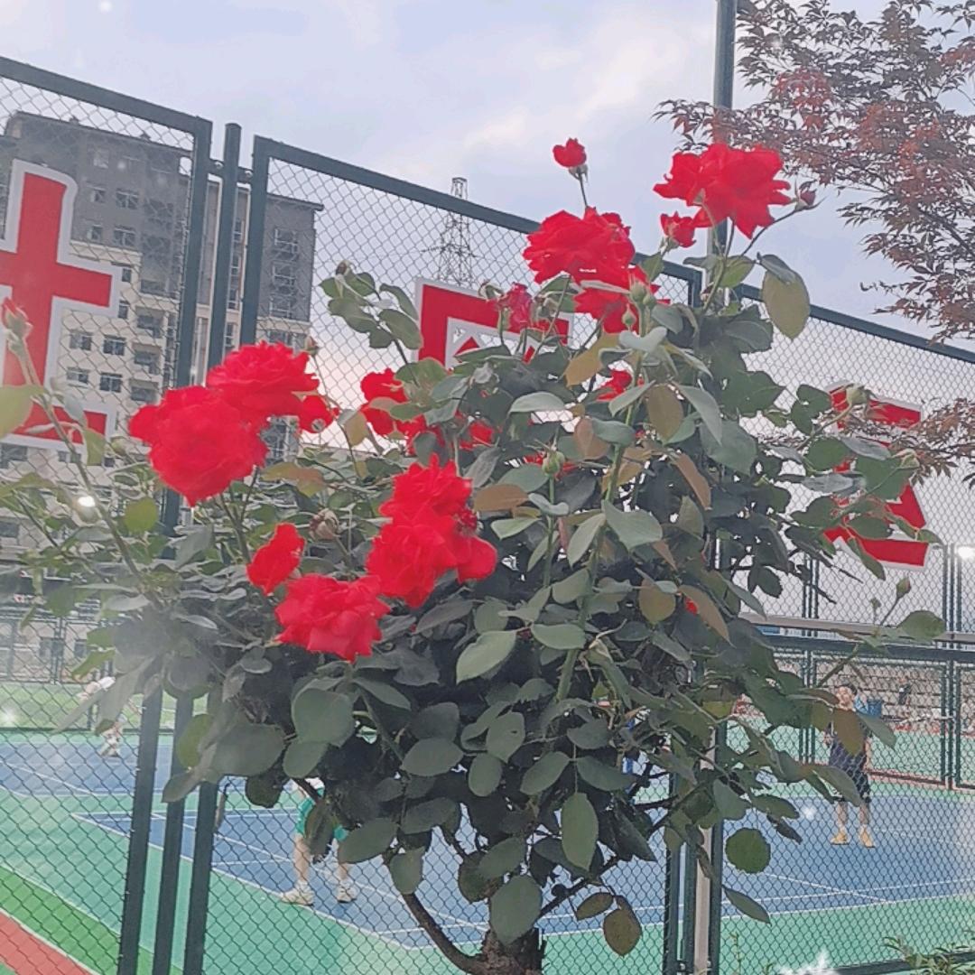 难得糊涂