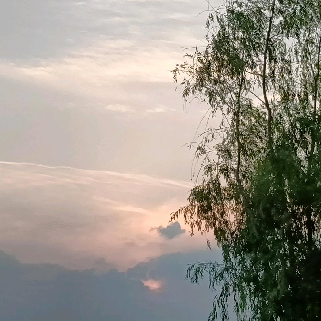 乄杺