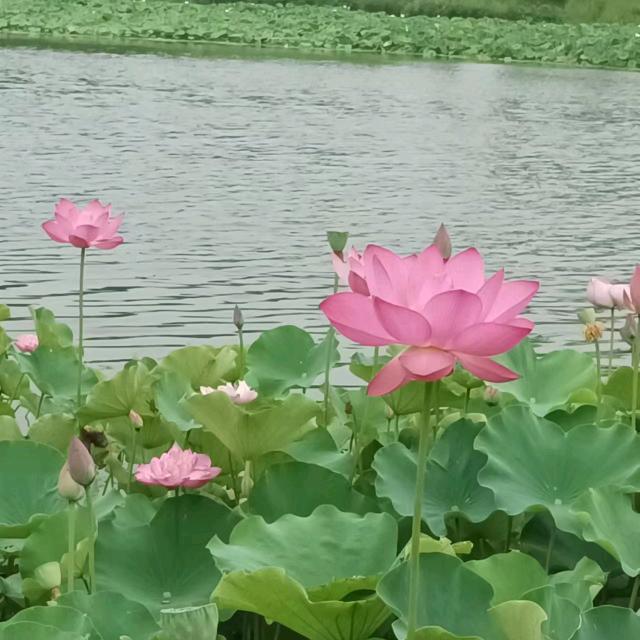 洒脱