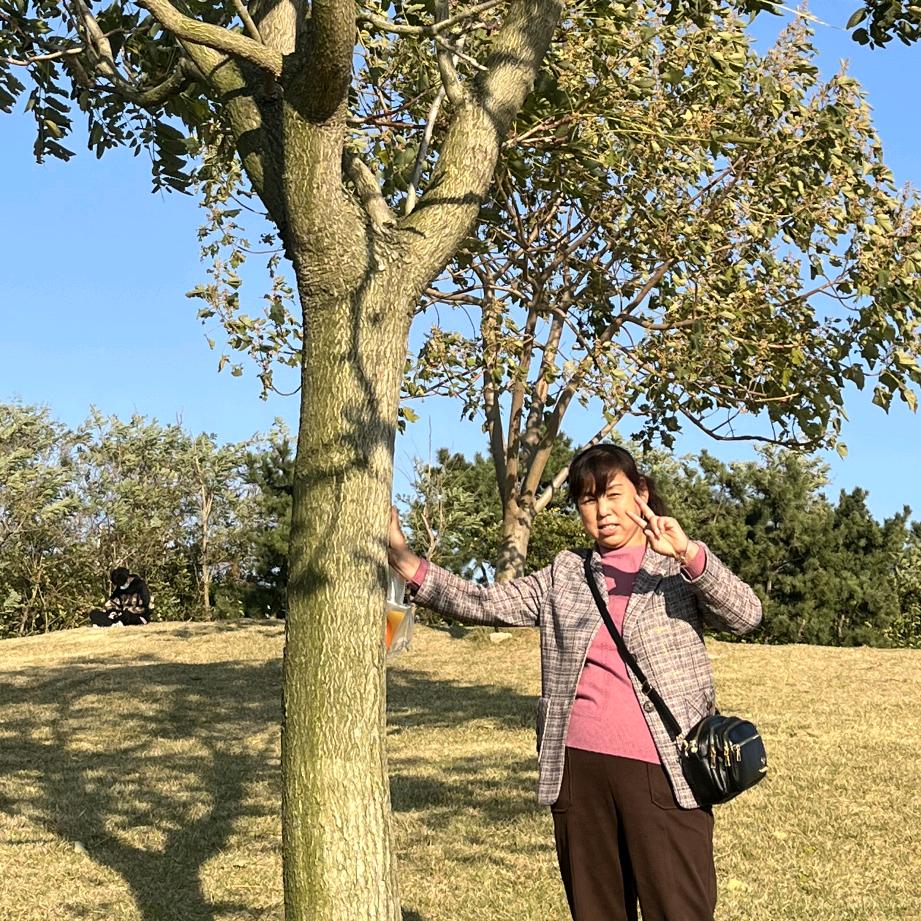 陌上🌺开