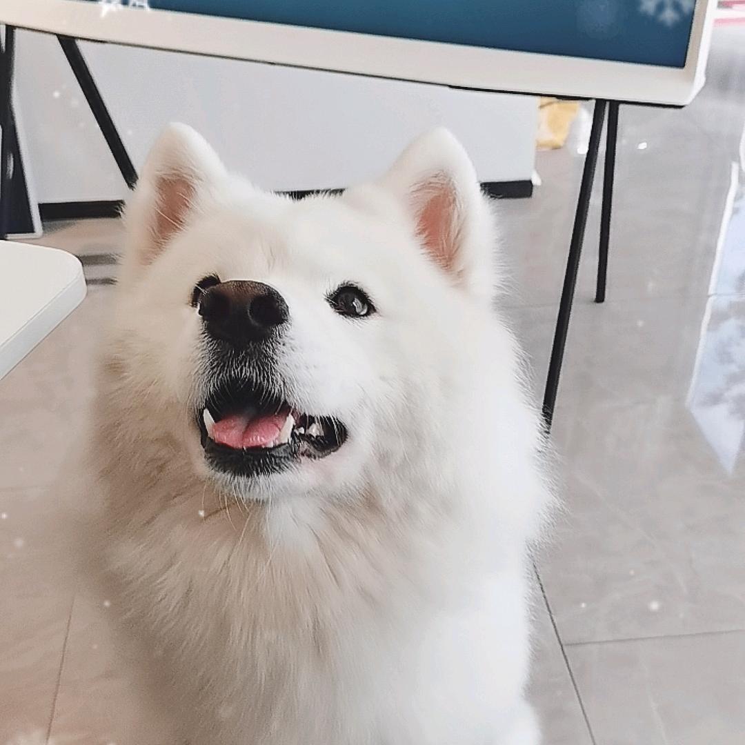 明天穿什么鞋