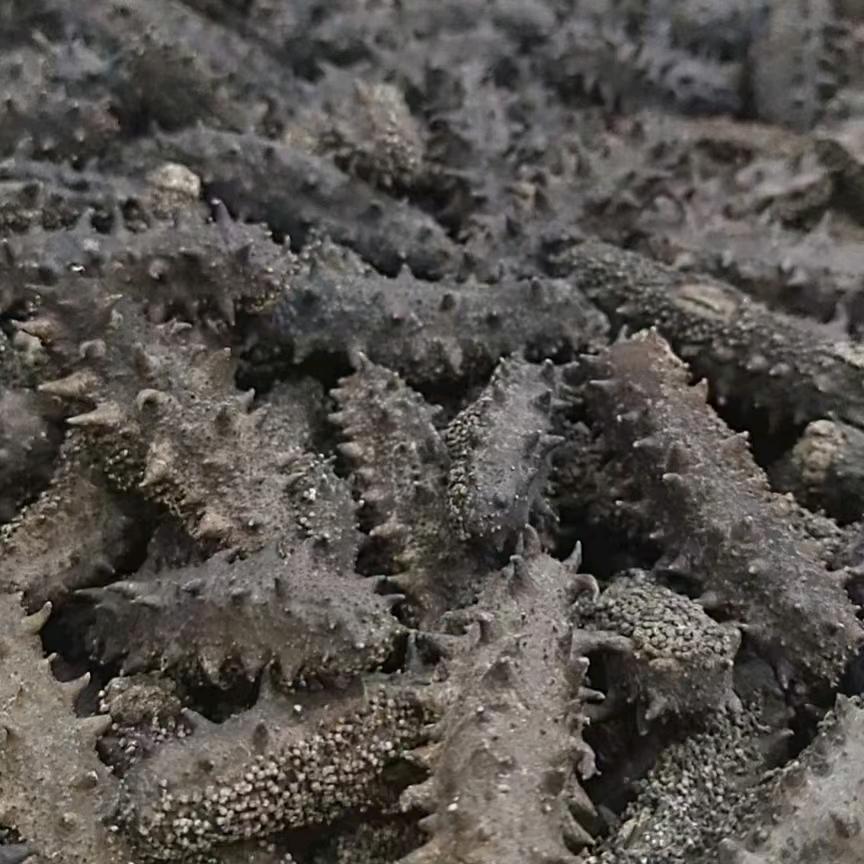 青岛福海春乡村振兴商行