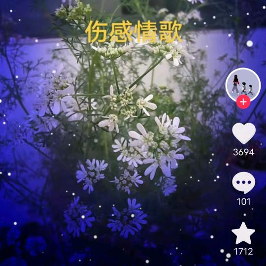 用户6666666