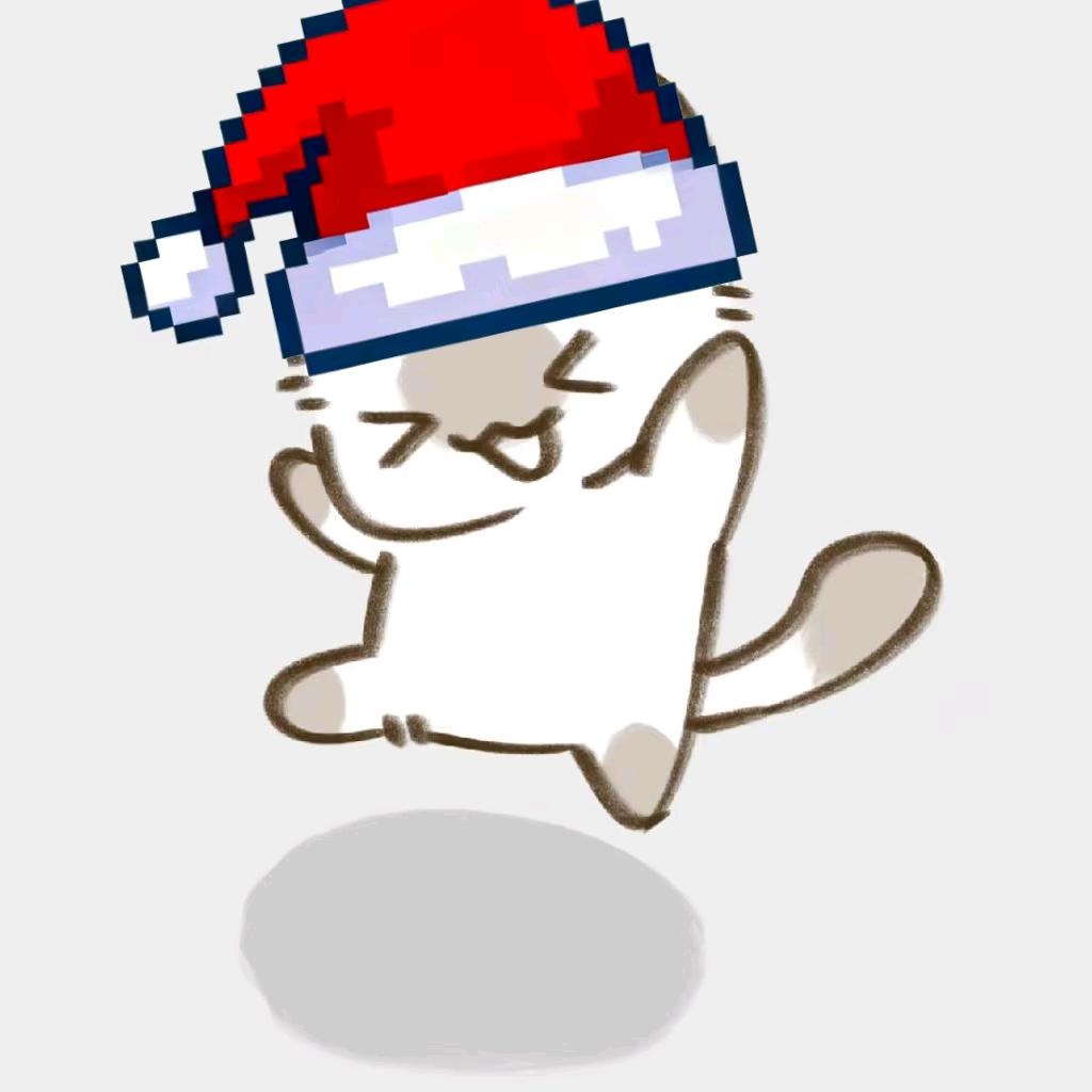 十一✨
