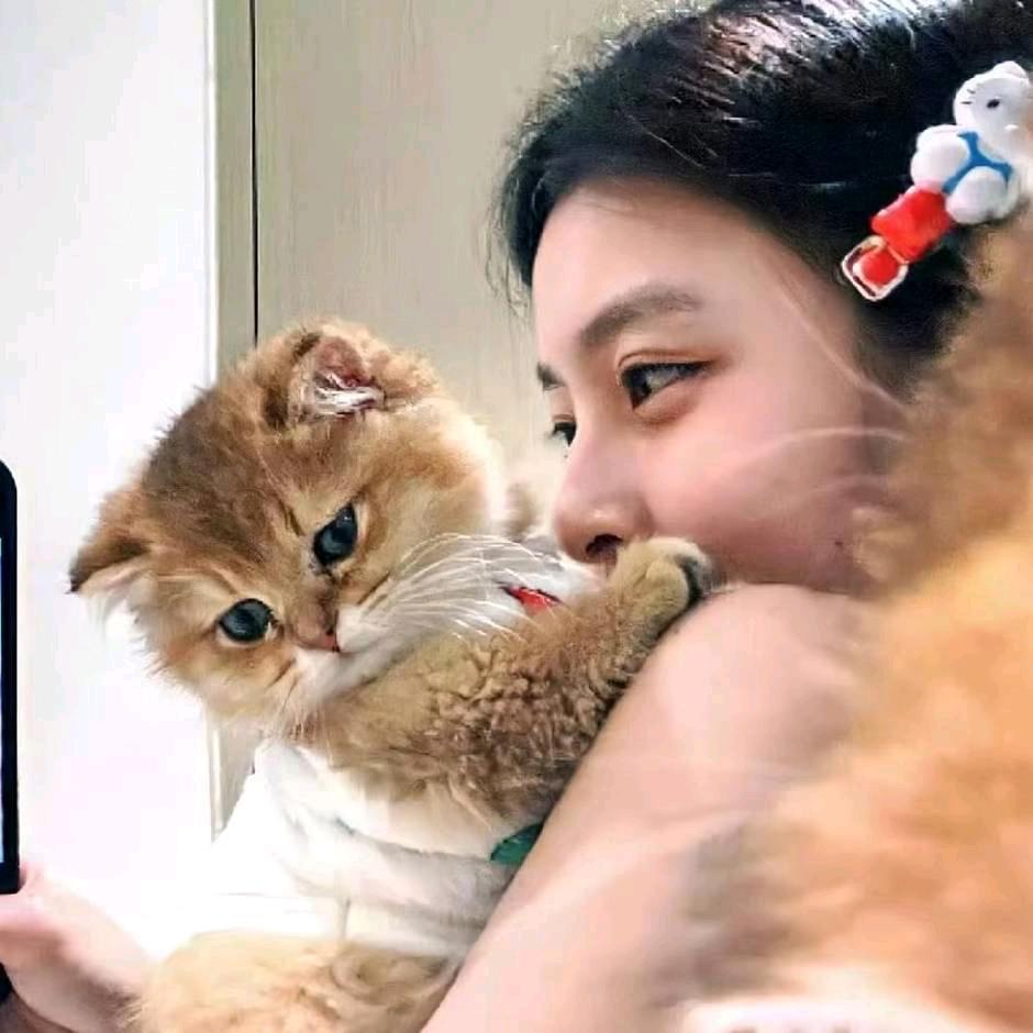 宿迁 安琪选房