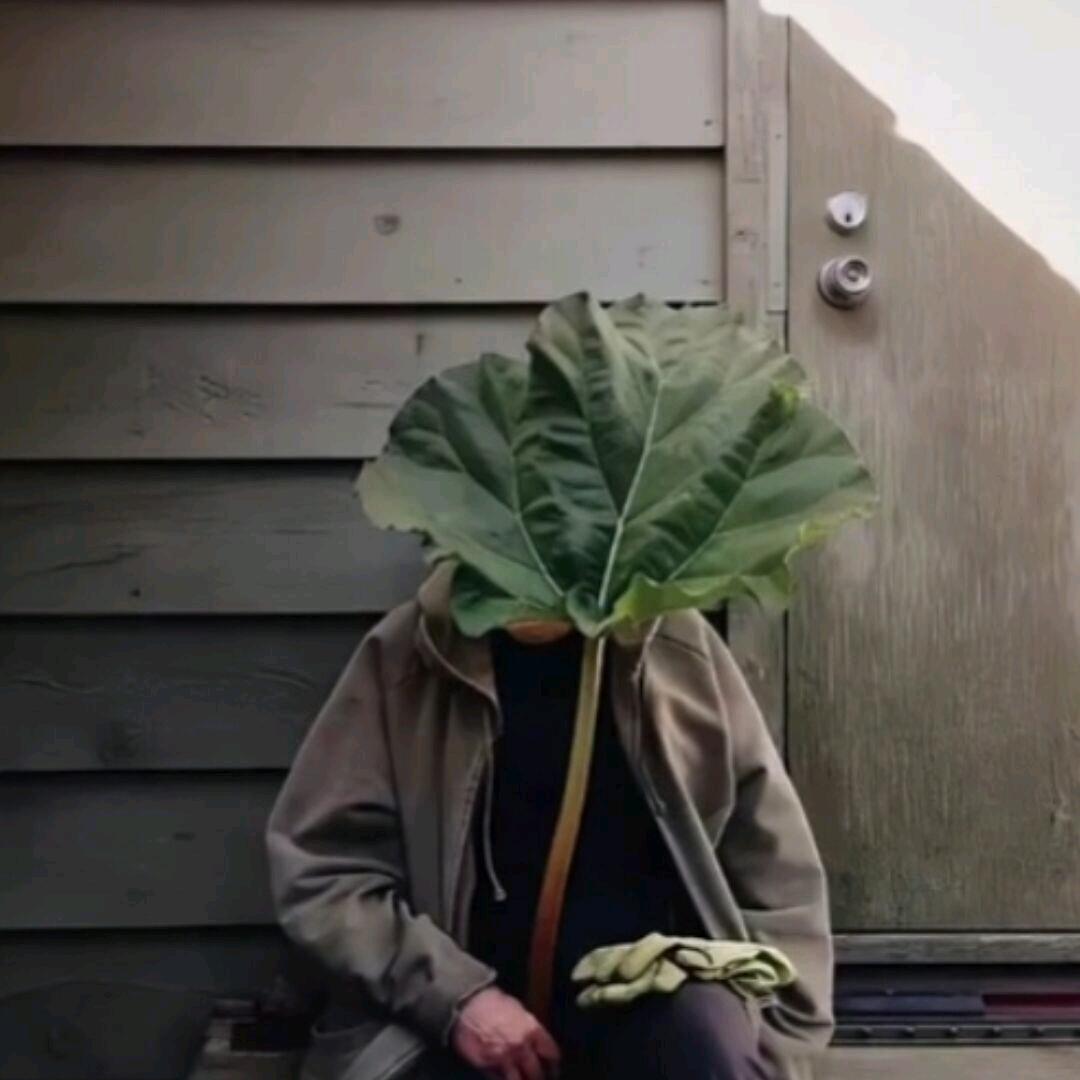 十一°