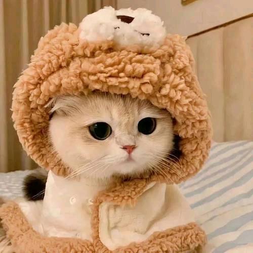 懂得珍惜☞才配拥有