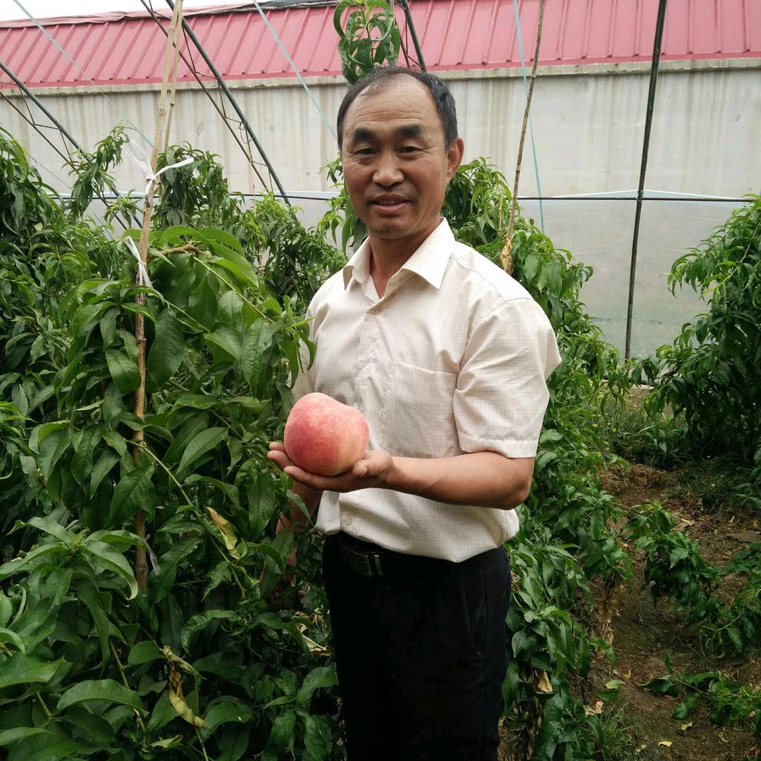 陇上行鲜果自产自销店