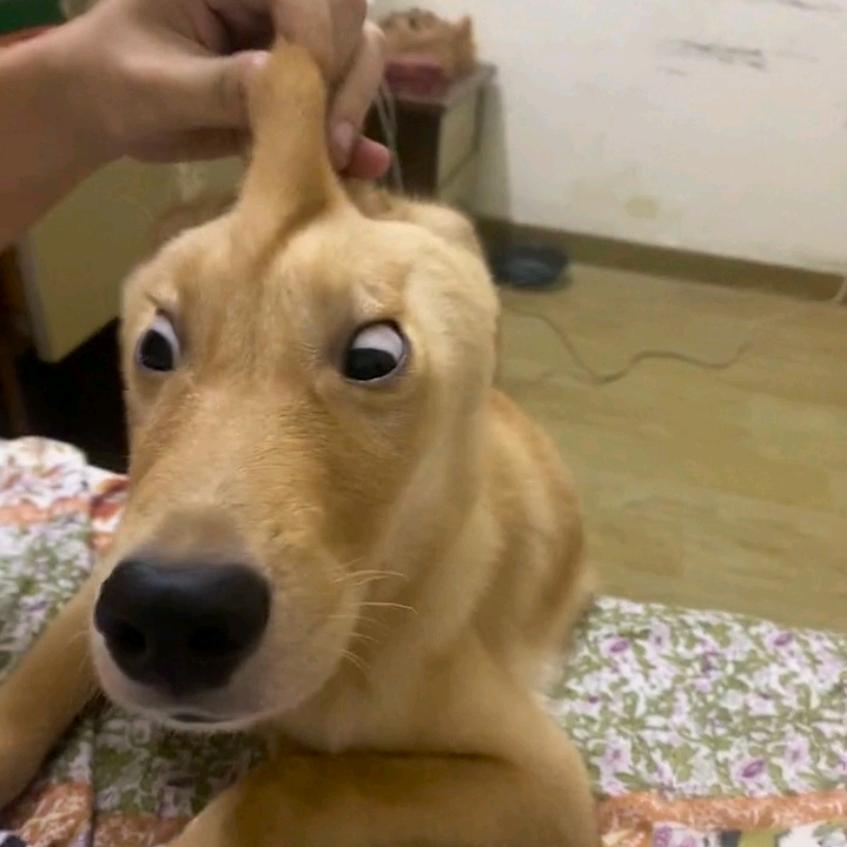 三角洲跑刀鼠鼠🐭（诚信接跑刀）