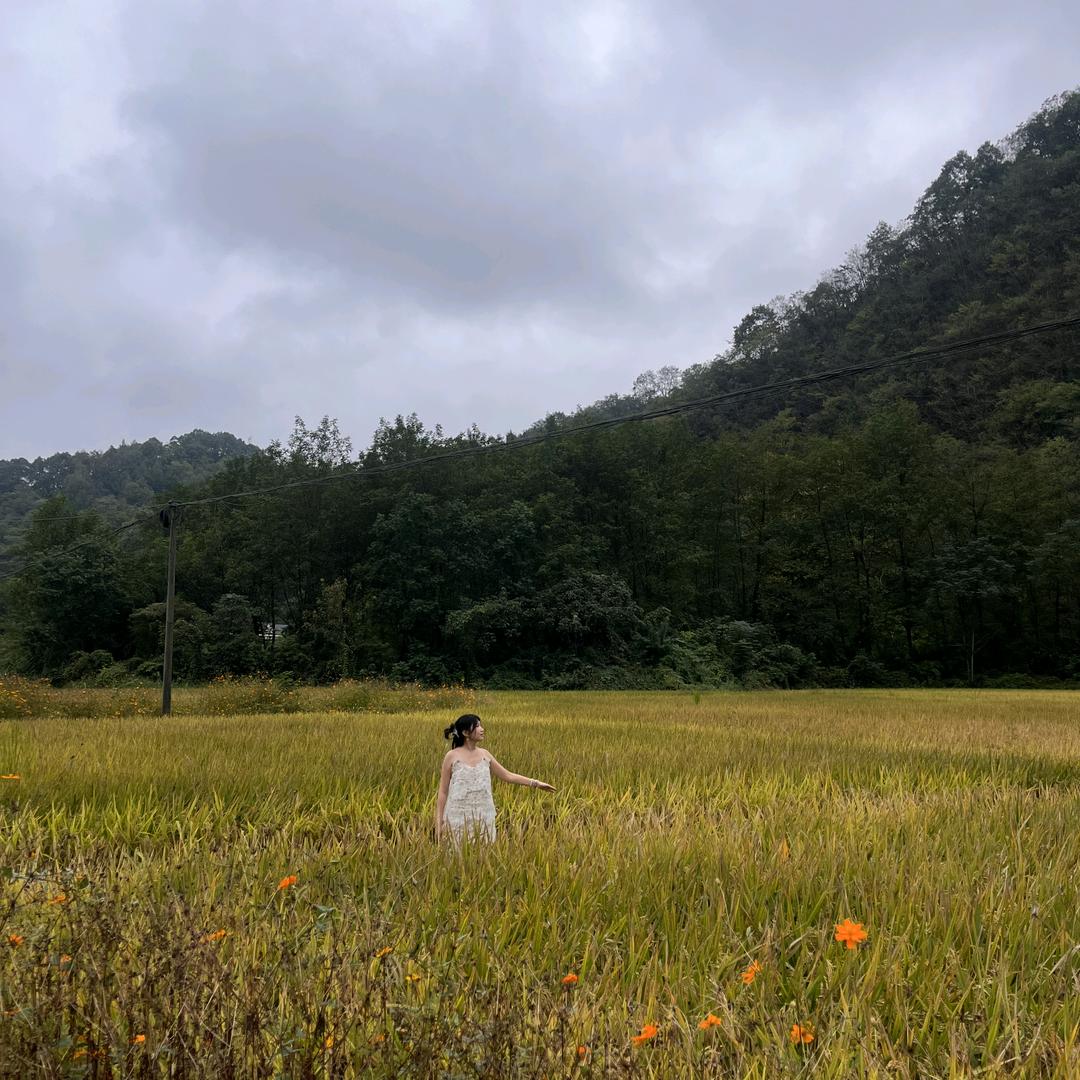 泡泡的泡泡泡泡