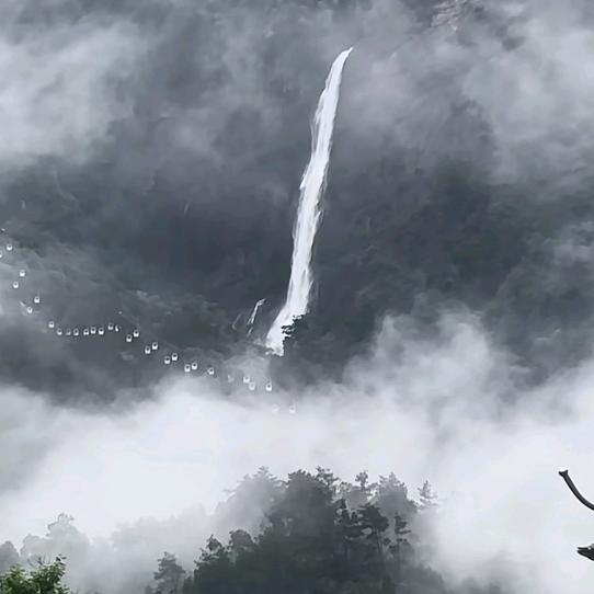 集营静