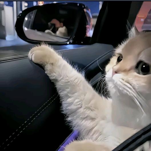 oi～