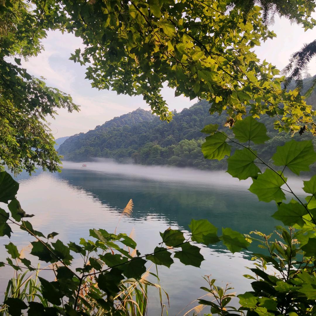 林二哥的铺子