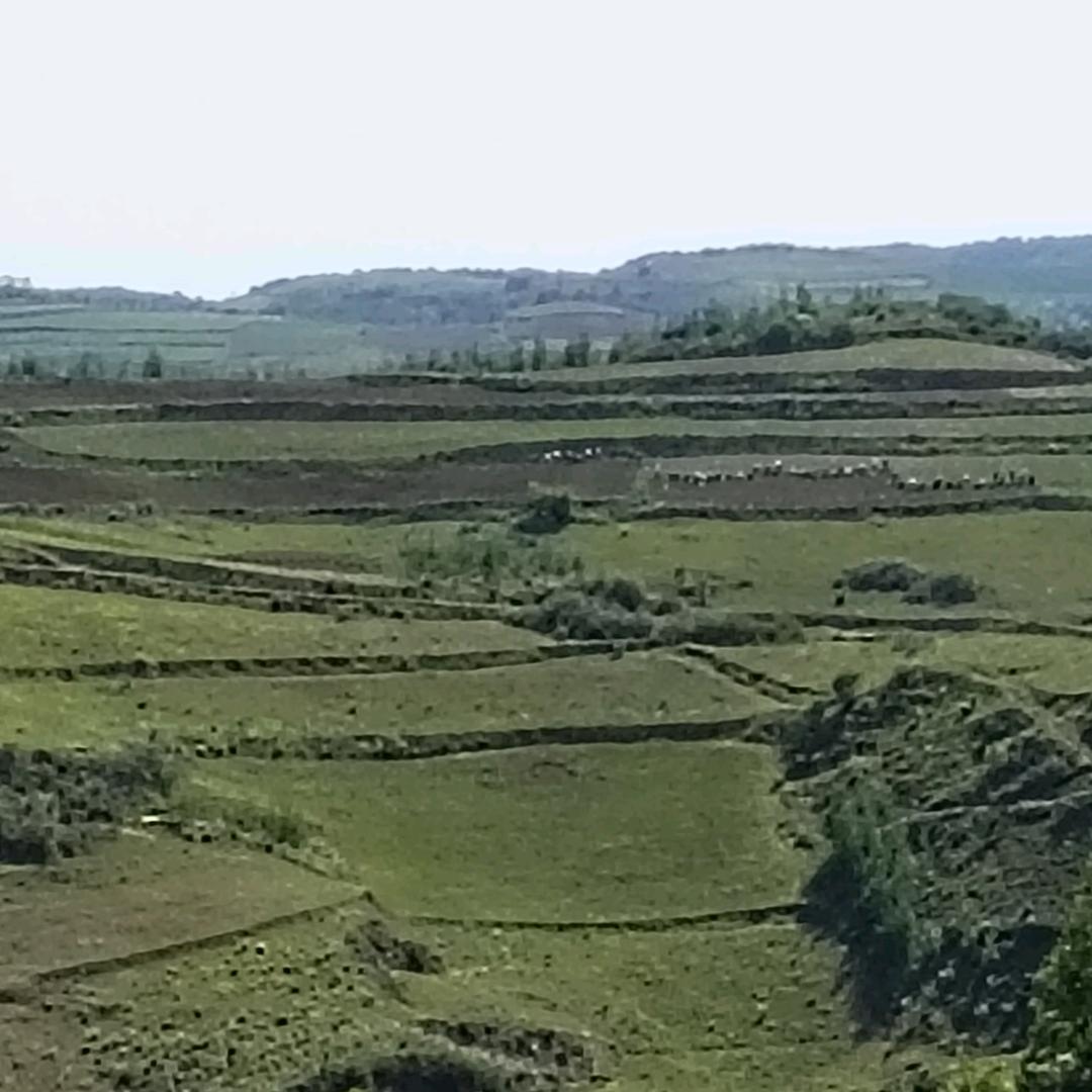 忘记过去🌲🌲？