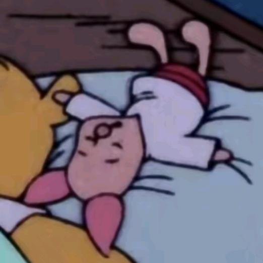 小鬼猪👑（看直播专用号）