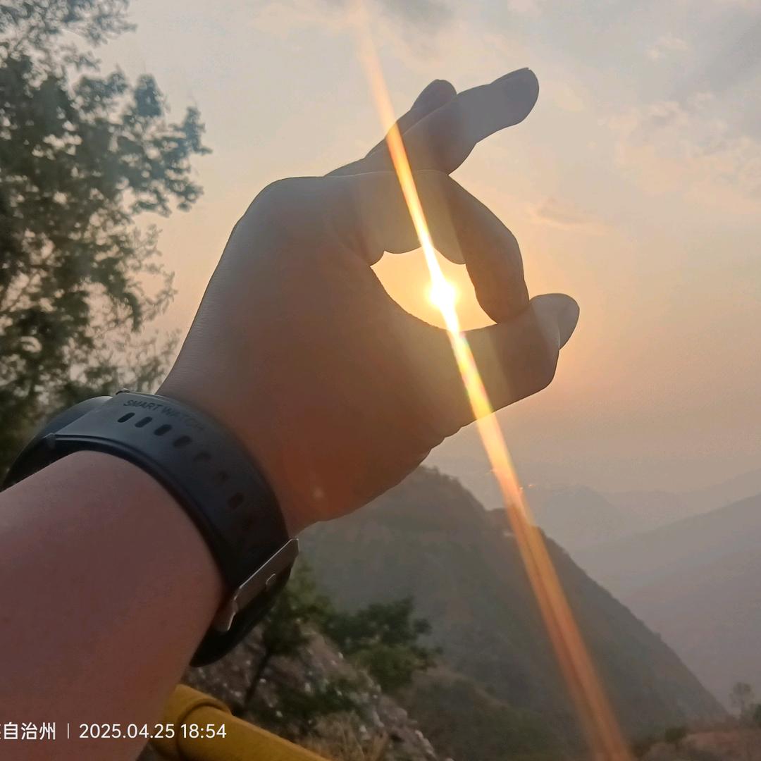拉着乌龟蹦迪