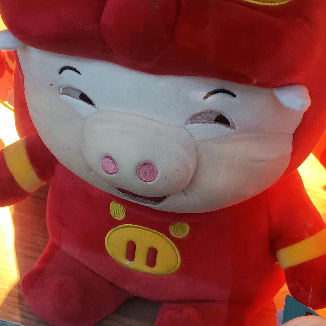 爱吃炸鸡的香菜