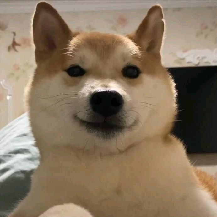 活该单身