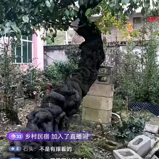 找到你了