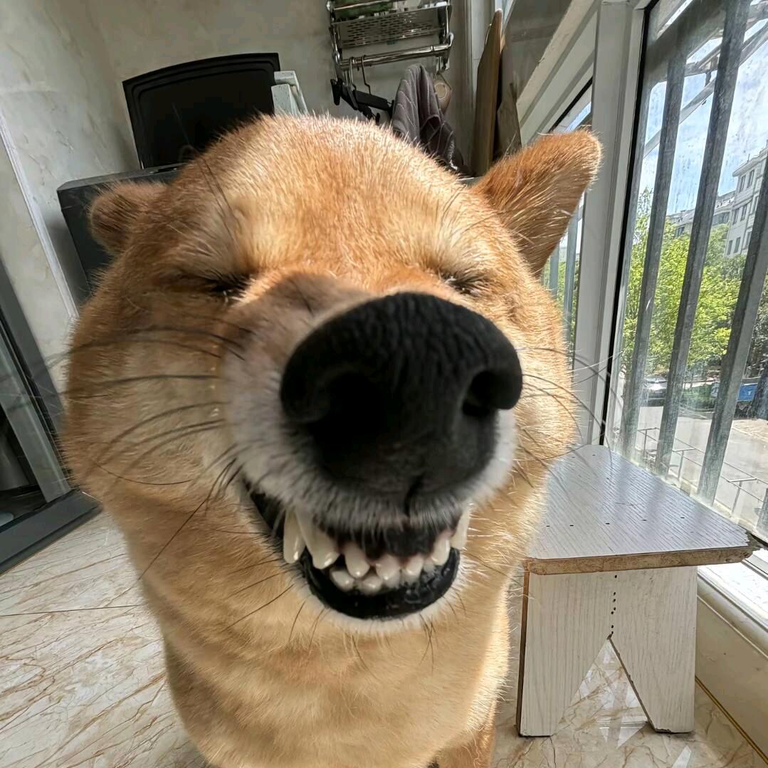 大大大大大怪将军