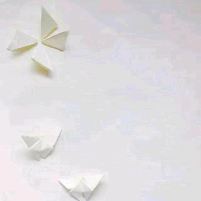 莘泽