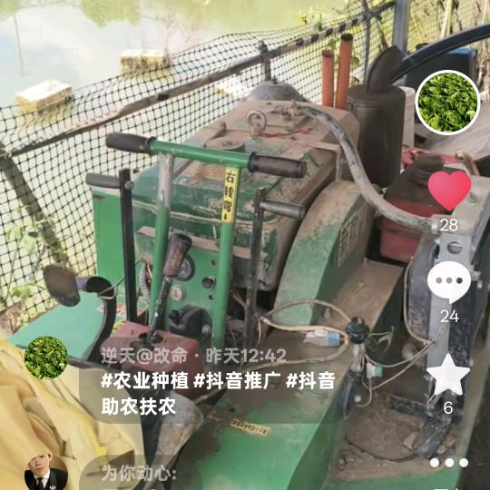 专业种菜   带打地