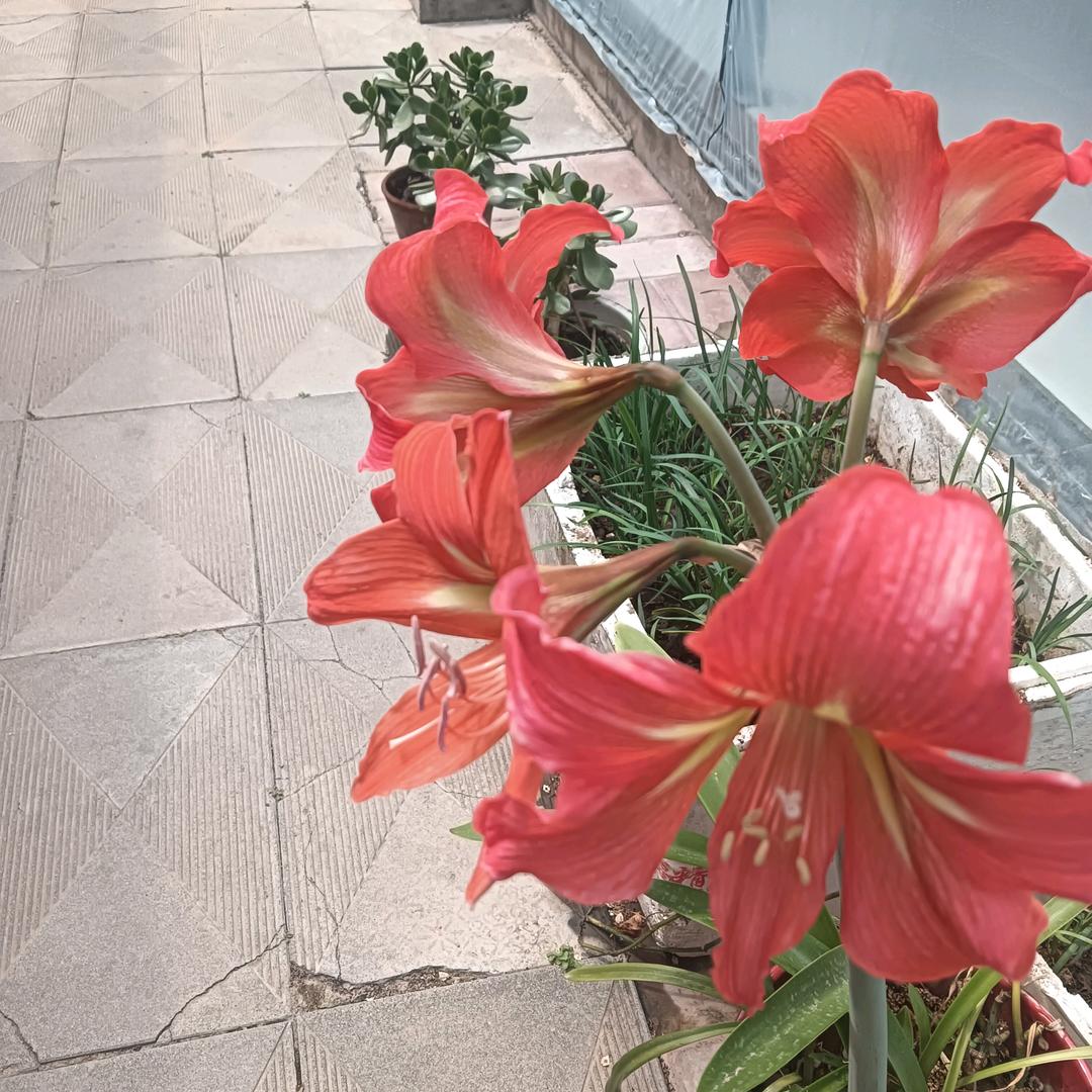 幸福
