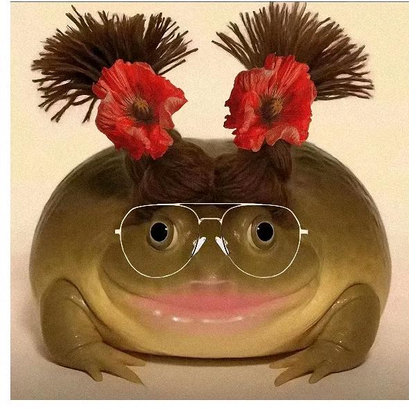 《重生之我的同城全是gay》