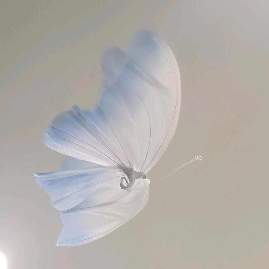 等风来不如追风去